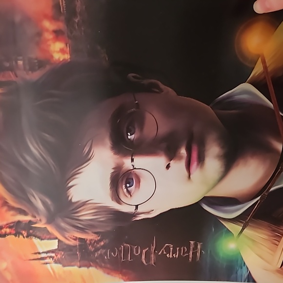 Harry Potter/ Voldemort Holographic Poster - Picture 3 of 4